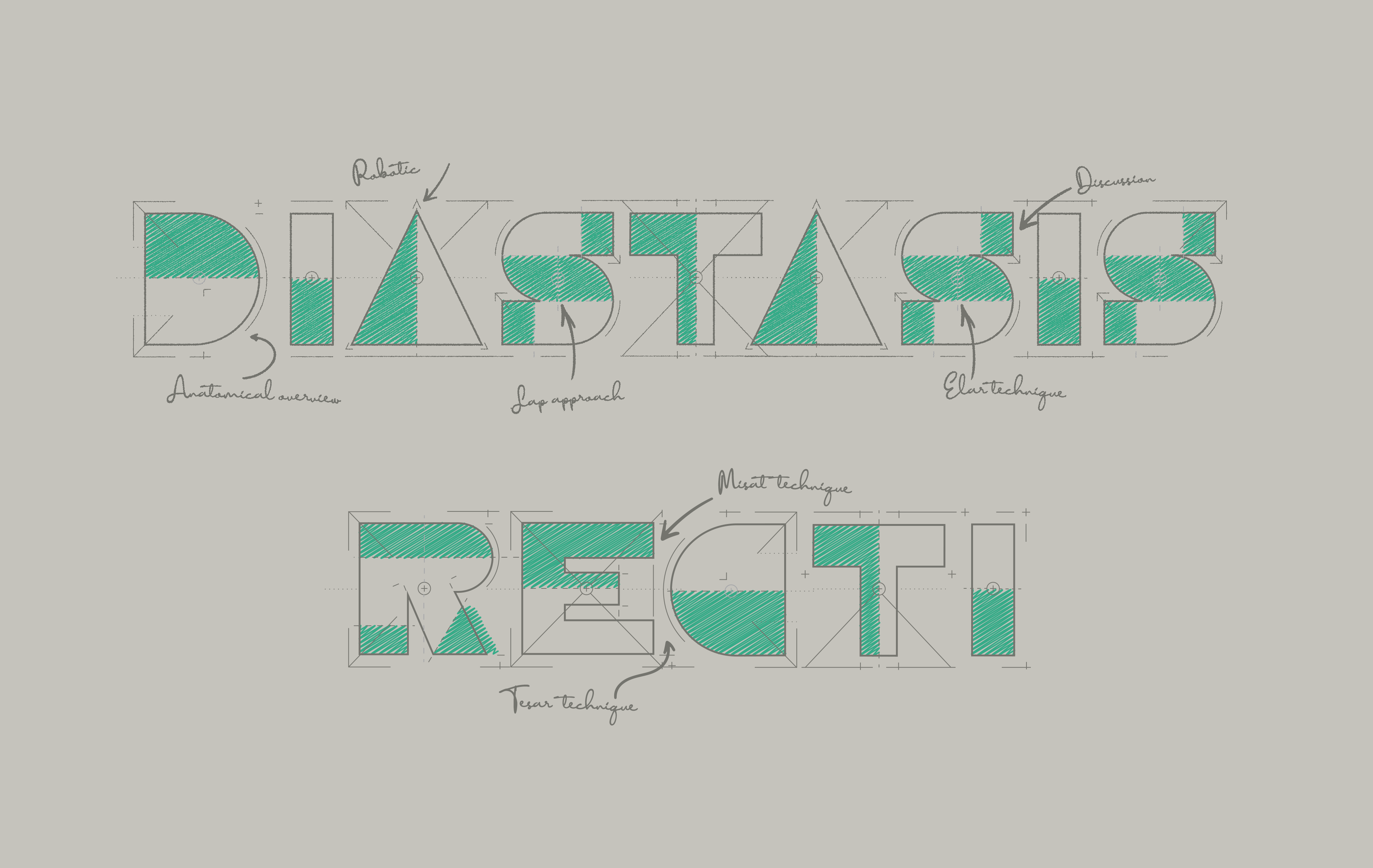 Mobile Diastasis Recti Hero Text